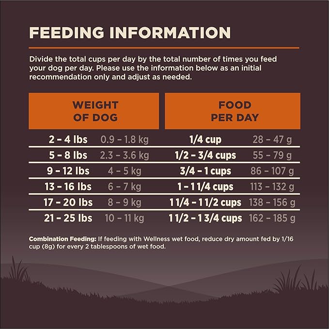 Wellness Natural Pet Food CORE Natural Grain-Free Small Breed Turkey & Chicken Dry Dog Food for Adult Dogs, High-Protein, USA-Made with Real Meat, 12-Pound Bag - PAWPICO