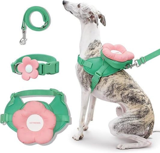 VETRESKA Flora Dog Harness, Leash and Collar Set, No Pull Dog Vest Harness for Walking and Training, Adjustable, Easy Control and Soft Padded Pet Harness and Backpack for Small Medium Large Dogs, S VETRESKA