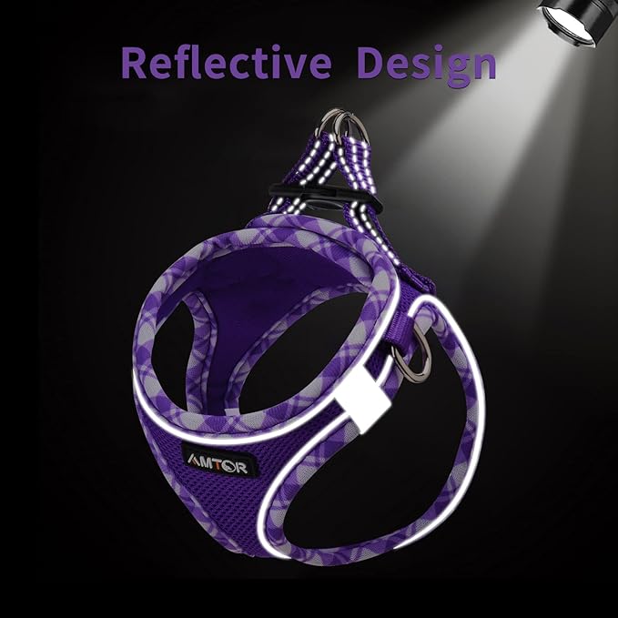 AMTOR Small Dog Harness with Leash Set, No Escape Easy Walk Puppy Harnesses for Training Walking, Step-in Reflective Soft Dogs Vest for XS S Medium Extra-Small Large Sized Dog(Purple,XXS) AMTOR