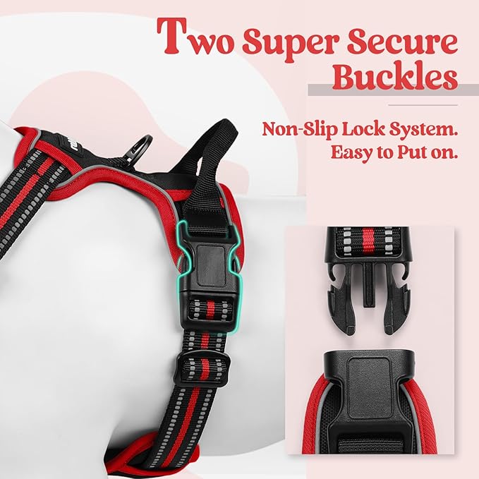 rabbitgoo Dog Harness No Pull with 2 Leash Clips, Adjustable Soft Padded, Reflective Oxford No Choke Pet Vest with Easy Control Handle for Medium Sized Dogs, Black & Red, M rabbitgoo