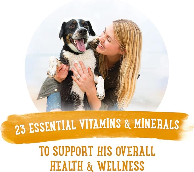 Beneful Purina Gravy Wet Dog Food, Prepared Meals Chicken Stew - (8) 10 oz. Tubs (Pack of 2) - PAWPICO