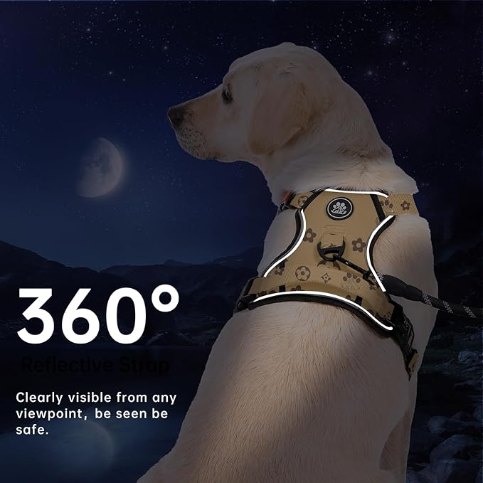 IVY&LANE No Pull Dog Harness with Leash Set, Reflective No Choke Pet Vest,Adjustable Oxford Dog Vest Harness with Easy Control Handle for Medium Dogs (Light Brown,M) IVYLANE