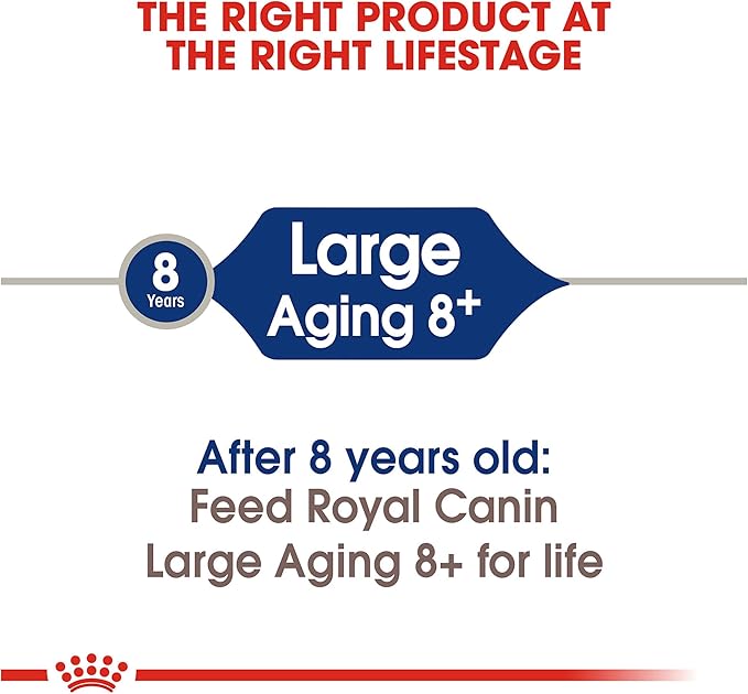 Royal Canin Large Aging 8+ Senior Dry Dog Food, 30 lb bag - PAWPICO