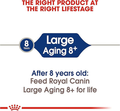 Royal Canin Large Aging 8+ Senior Dry Dog Food, 30 lb bag - PAWPICO