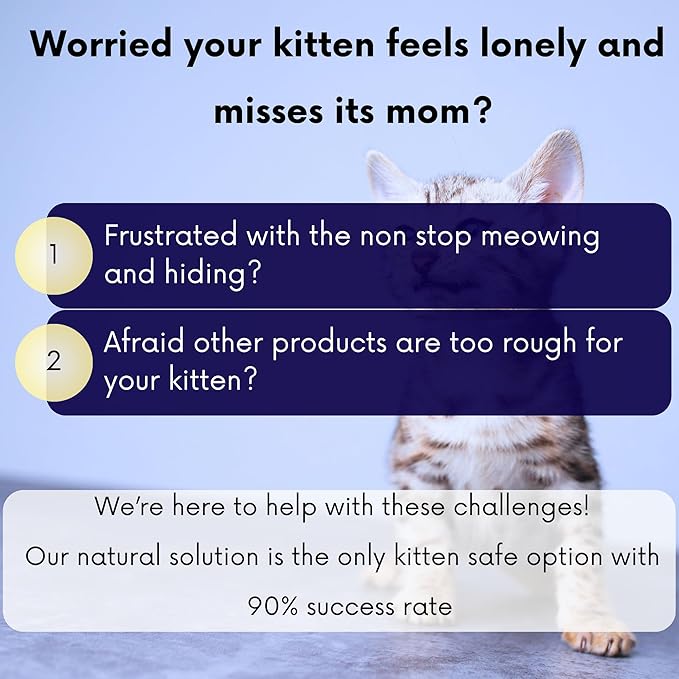 Kitten Calming Collar with 100% Natural Oil, Cat Stress and Anxiety Relief, Kitten Calming Products, Breakaway, Vet-Approved (Pure Jasmine) ROLLERPAWSTER