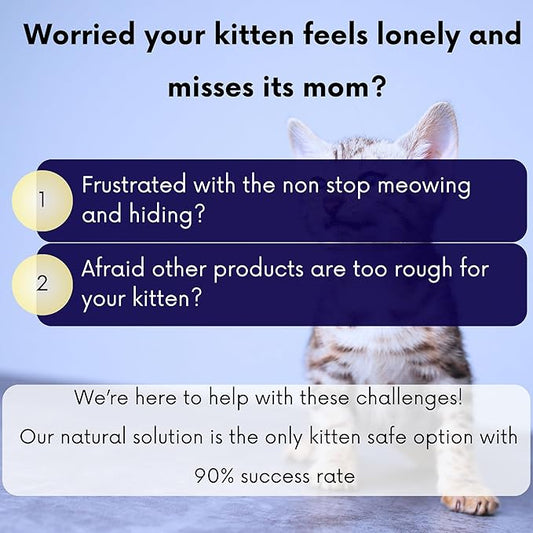 Kitten Calming Collar with 100% Natural Oil, Cat Stress and Anxiety Relief, Kitten Calming Products, Breakaway, Vet-Approved (Pure Jasmine) ROLLERPAWSTER