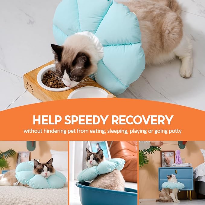 Avont Cat Cone Collar Soft, Adjustable Recovery E Collar Alternative for Cats Kittens Puppies, Elizabethan Neck Cone of Shame to Prevent Licking Biting After Surgery Protect Wounds -Blue(L) Avont