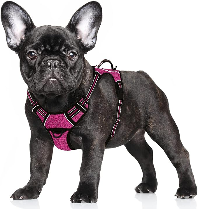 BARKBAY No Pull Dog Harness Large Reflective Dog Harness with Front Clip and Easy Control Handle for Walking Training Running with ID tag Pocket(Pink/Black,S) BARKBAY