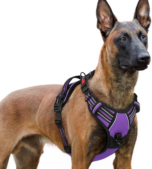 rabbitgoo Dog Harness for Large, No Pull Pet Harness with 3 Buckles, Adjustable Soft Padded Pooch Vest with Instant Control Handle, Easy Walking Reflective Pet Vest for Extra Large Dogs, Purple, XL rabbitgoo
