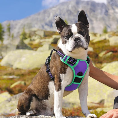 Eagloo Dog Harness for Large Dogs, No Pull Service Vest with Reflective Strips and Control Handle, Adjustable and Comfortable for Easy Walking, No Choke Harness with 2 Metal Rings, Purple & Green, M GoExplorewithEagloo