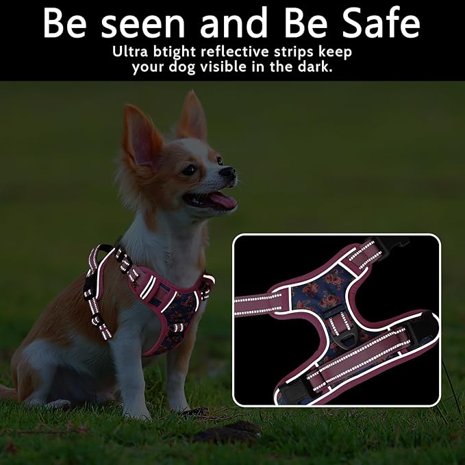 Timos Dog Harness, No-Pull Pet Harness with 2 Leash Clips, Adjustable Soft Padded Dog Vest, Reflective Outdoor Pet Oxford Vest with Easy Control Handle Pink Blue Timos