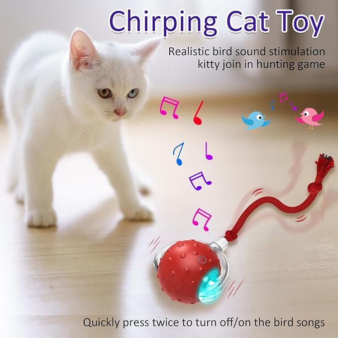 Cat Toys Interactive with Motion Activated & Chirping, Rolling Super Fast on Carpet Happy Party Game with Kittens - PAWPICO