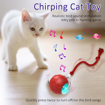 Cat Toys Interactive with Motion Activated & Chirping, Rolling Super Fast on Carpet Happy Party Game with Kittens - PAWPICO