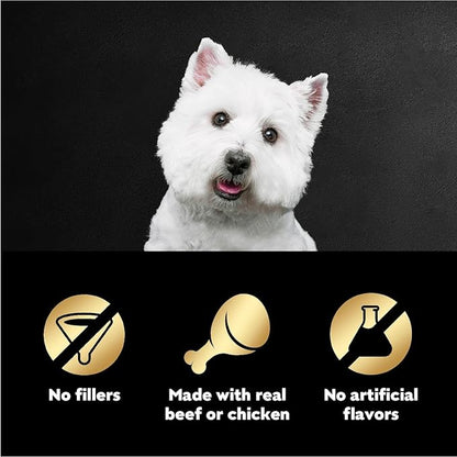 Cesar Filets in Gravy Wet Dog Food Filet Mignon Flavor and Rotisserie Chicken Flavor Variety Pack, 1.76 oz. Mini-Pouches, 20 Pack (Pack of 2) - PAWPICO