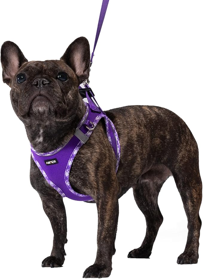 AMTOR Small Dog Harness with Leash Set, No Escape Easy Walk Puppy Harnesses for Training Walking, Step-in Reflective Soft Dogs Vest for XS S Medium Extra-Small Large Sized Dog(Purple,M) AMTOR