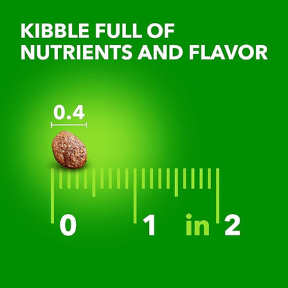 IAMS Smart Puppy Dry Dog Food with Real Chicken, 7 lb. Bag - PAWPICO