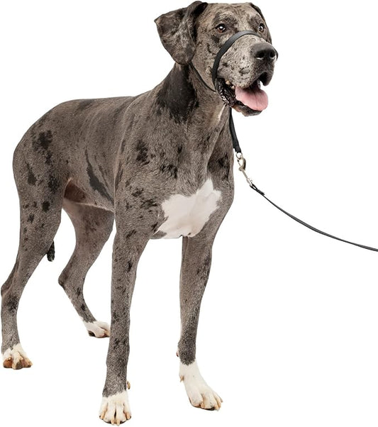 PetSafe Gentle Leader No-Pull Dog Headcollar - The Ultimate Solution to Pulling - Redirects Your Dog's Pulling for Easier Walks - Helps You Regain Control - X-Large, Black PetSafe