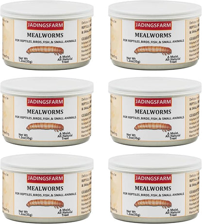 6 Pack Canned Mealworms for Reptiles, Fish, Birds and Small Animals, Meal Worms, Healthy High Protein Treat, Reptile Bird Fish Food 7.2 Ounces Total Jadingfarm