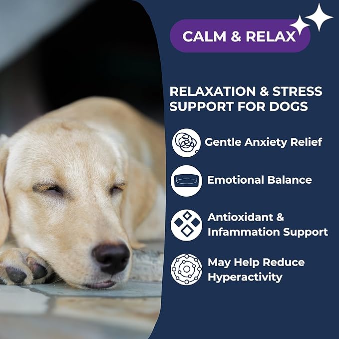 Calm & Relax Soft Chew Supplements for Dogs - Reduce Stress & Anxiety, Behavioral Support, Promote Rest & Relaxation for Active Dogs Dogletics
