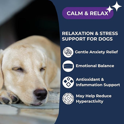 Calm & Relax Soft Chew Supplements for Dogs - Reduce Stress & Anxiety, Behavioral Support, Promote Rest & Relaxation for Active Dogs Dogletics