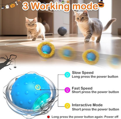 Interactive Cat Toys Ball Fast Rolling in Pouch, Motion Activate Chirping Cat Toy Hide and Seek Mouse Catching Game (Halloween Party) - PAWPICO