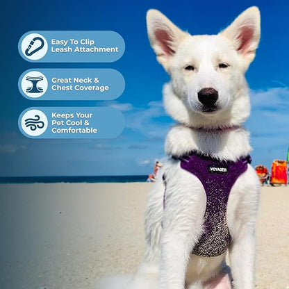 Best Pet Supplies Voyager Adjustable Dog Vest Harness Breathable No Pull Harness for Small, Medium, Large Dogs, Heavy Duty Harness for Walking, Jogging, Easy Step-In, Reflective Stripes - (Purple), XS BestPetSuppliesLLC