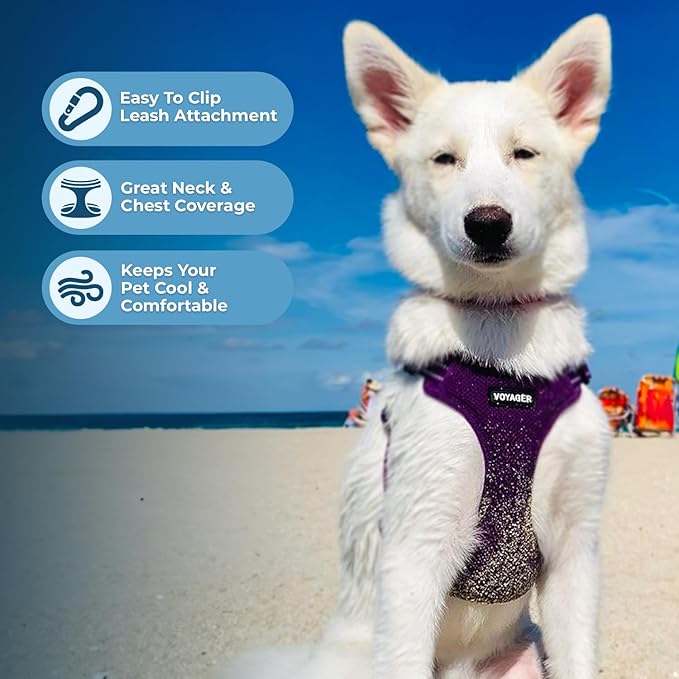 Best Pet Supplies Voyager Adjustable Dog Vest Harness Breathable No Pull Harness for Small, Medium, Large Dogs, Heavy Duty Harness for Walking, Jogging, Easy Step-in, Reflective Stripes - (Purple), L BestPetSuppliesLLC