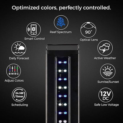 CURRENT USA 72" Inch Orbit Marine IC LOOP LED Saltwater Reef Marine Aquarium Light with Bluetooth App Control | Wireless Lighting & eFlux Wave Pump Control for Fish Tank (4208) Current+USA