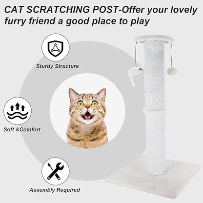 Cat Scratching Post 34 Inches Heavy Duty and Thicker Cat Scratching Post Sisal Rope with Hanging Ball and Mice Scratching Post for Indoor Cats and Adult(White) - PAWPICO