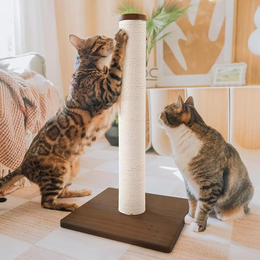 Necoichi 23.6” Tall Cat Scratching Post Kitten Scratcher Paper Rope Scratch Posts Trees with Hanging for Indoor Cats (23.6 inches for Kitty, Regular, Dark Cherry) - PAWPICO