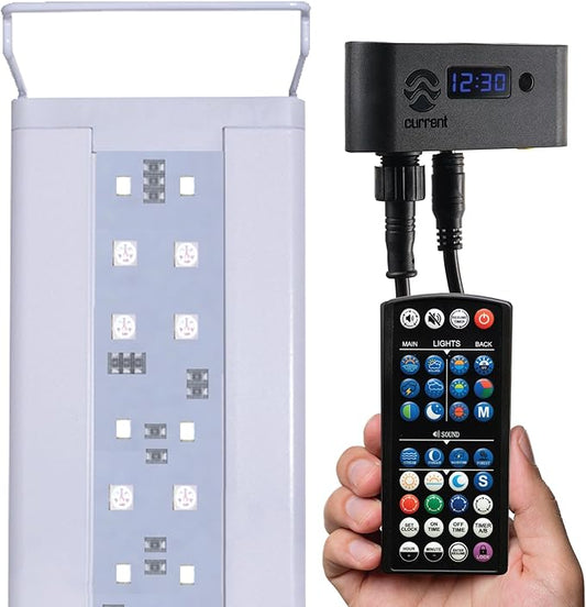 CURRENT USA 18-24" Inch White Full Spectrum Freshwater LED Aquarium Plant Light 10 15 20 25 Gallon | Satellite Plus RGB+ for Aquariums | Wireless 24 Hour Timer Remote Fish Tank Planted Lighting (4320) Current+USA