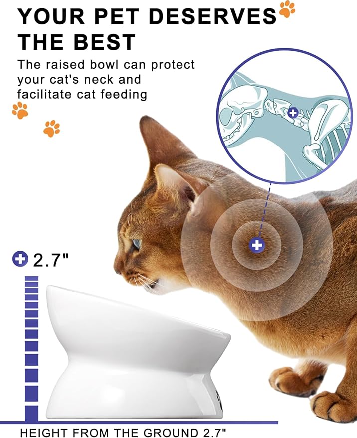 Y YHY Cat Food Bowl 6", Elevated Tilted Cat Bowl, Raised Cat Bowls for Adult Cats or Dogs, Ceramic Pet Food Water Dish 10 oz, White - PAWPICO