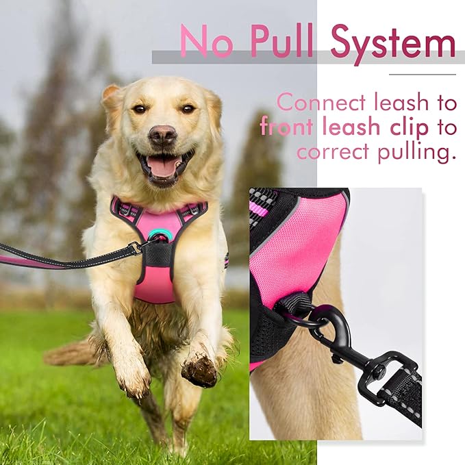 rabbitgoo Dog Harness, No-Pull Pet Harness with 2 Leash Clips, Adjustable Soft Padded Dog Vest, Reflective No-Choke Pet Oxford Vest with Easy Control Handle for Medium Dogs, Hot Pink, M - PAWPICO