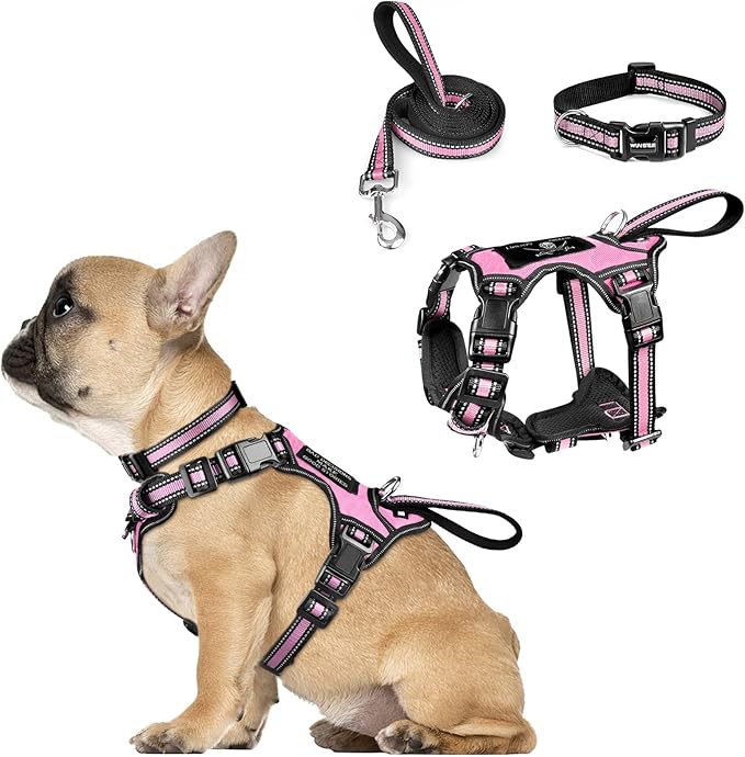 WINSEE Pet Harness Collar and Leash Set, All-in-one Reflective Dog Harness No Pull with Adjustable Buckles for Puppies, Small, Medium, Large, and Extra-Large Dogs (Small, Pink) WINSEE