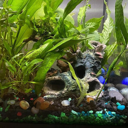 DoubleWood 3 PCS Decaying Trunk Aquarium Betta Fish Ornament Driftwood Resin Crafts Ornament for Aquarium Decoration Fish Tank Wood with Holes & Aquarium Caves Fish Tank Wood Decor DoubleWood