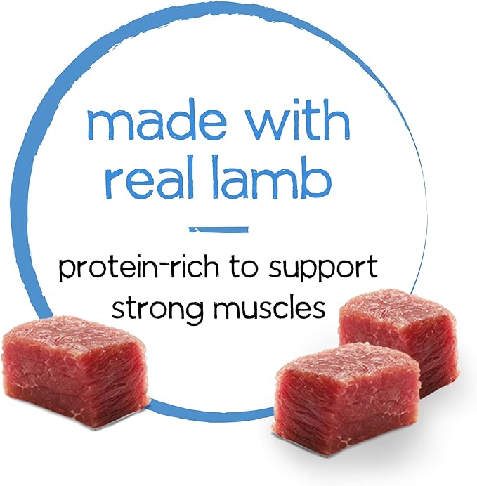 Beneful Purina Infused Wet Dog Food Pate with Real Lamb, Carrots and Spinach, with Sunflower Oil - (8 Packs of 3) 3 oz. Sleeves - PAWPICO