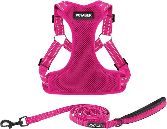 Best Pet Supplies Voyager Adjustable Dog Harness Leash Set with Reflective Stripes for Walking Heavy-Duty Full Body No Pull Vest with Leash D-Ring, Breathable All-Weather - Harness (Fuchsia), L BestPetSuppliesLLC