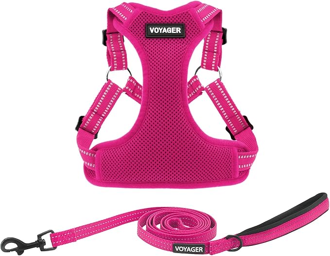 Best Pet Supplies Voyager Adjustable Dog Harness Leash Set with Reflective Stripes for Walking Heavy-Duty Full Body No Pull Vest with Leash D-Ring, Breathable All-Weather - Harness (Fuchsia), M BestPetSuppliesLLC