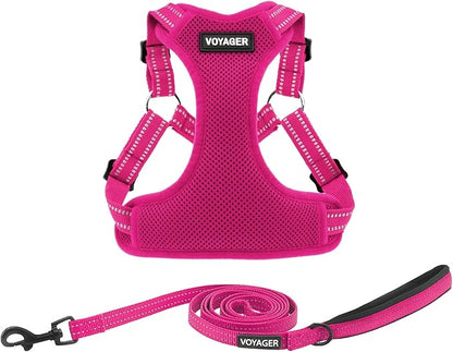 Best Pet Supplies Voyager Adjustable Dog Harness Leash Set with Reflective Stripes for Walking Heavy-Duty Full Body No Pull Vest with Leash D-Ring, Breathable All-Weather - Harness (Fuchsia), M BestPetSuppliesLLC