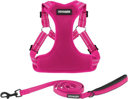 Best Pet Supplies Voyager Adjustable Dog Harness Leash Set with Reflective Stripes for Walking Heavy-Duty Full Body No Pull Vest with Leash D-Ring, Breathable All-Weather - Harness (Fuchsia), XS BestPetSuppliesLLC