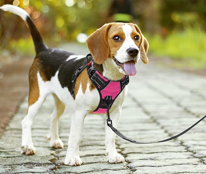 PoyPet No Pull Dog Harness, No Choke Front Lead Dog Reflective Harness, Adjustable Soft Padded Pet Vest with Easy Control Handle for Small to Large Dogs(Pink,S) PoyPet