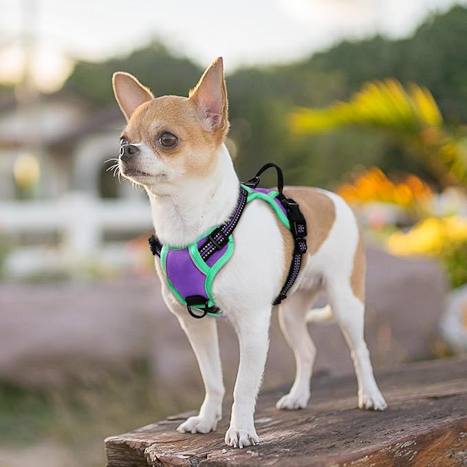 Eagloo Dog Harness for Large Dogs, No Pull Service Vest with Reflective Strips and Control Handle, Adjustable and Comfortable for Easy Walking, No Choke Harness with 2 Metal Rings, Purple & Green, XS GoExplorewithEagloo