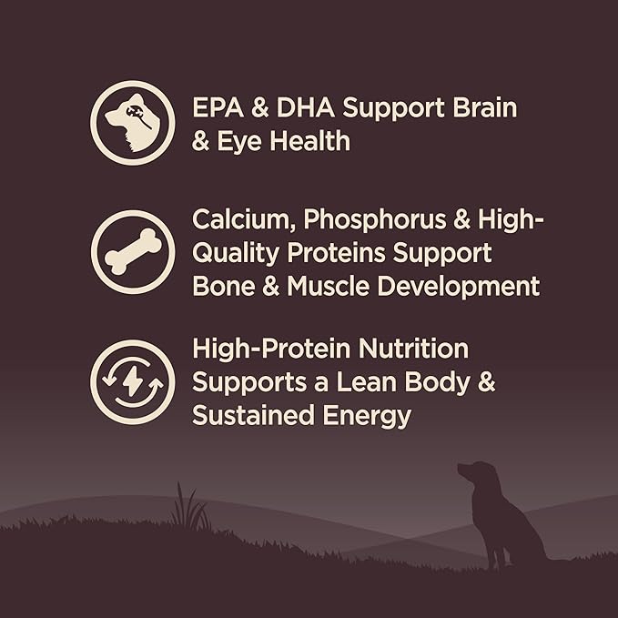 Wellness Natural Pet Food CORE Grain-Free High-Protein Small Breed Dry Dog Food, Natural Ingredients, Made in USA with Real Meat (Puppy, Turkey, 4-Pound Bag) - PAWPICO