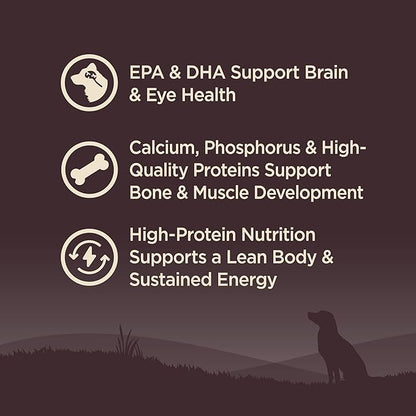 Wellness Natural Pet Food CORE Grain-Free High-Protein Small Breed Dry Dog Food, Natural Ingredients, Made in USA with Real Meat (Puppy, Turkey, 4-Pound Bag) - PAWPICO