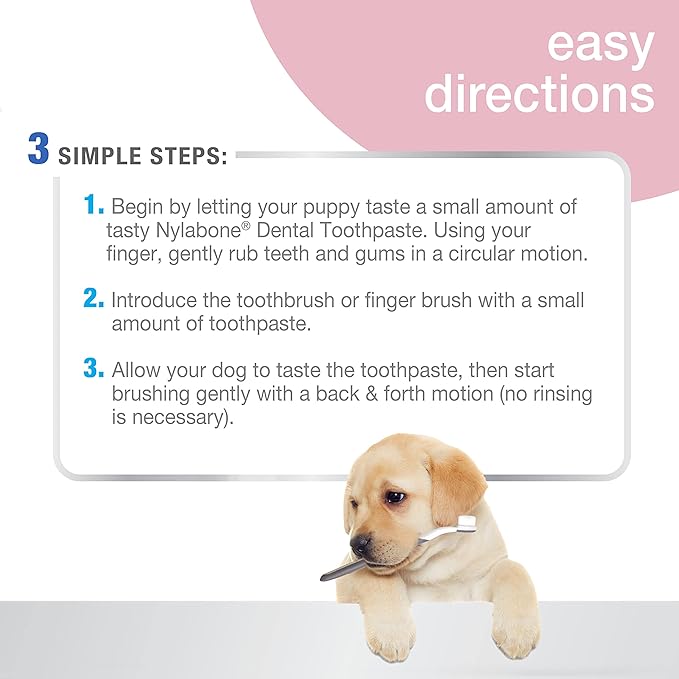 Nylabone Advanced Oral Care Puppy Dental Kit with Pillowy Soft-Bristle Toothbrush Peanut Butter (3 Count) Nylabone