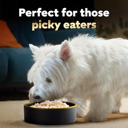 CESAR SIMPLY CRAFTED Adult Wet Dog Food Meal Topper, Chicken, (10) 1.3 oz. Tubs - PAWPICO