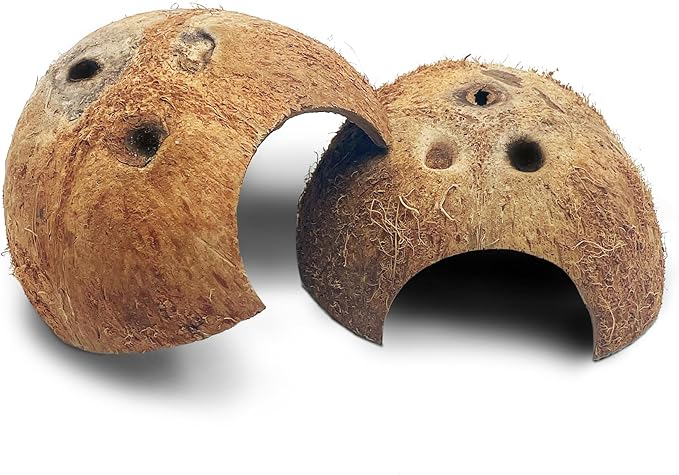 PINVNBY Natural Coconut Reptile Hideouts Lizard, Coco Hut Hermit Crab Hut Aquarium Fish Hide Cave for Small Reptile Crested Gecko Leopard Gecko Spider Snail Climber Toys (2 PCS Natural Surface) PINVNBY