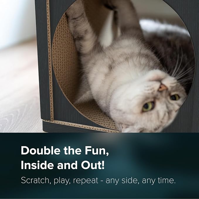 Cat Scratcher Tunnel, cardboard cat house, scratching post for Indoor cats, 360 degree comfort, durable design, odor-free, easy assembly, perfect for playful kittens and adult cats, blackwood - PAWPICO