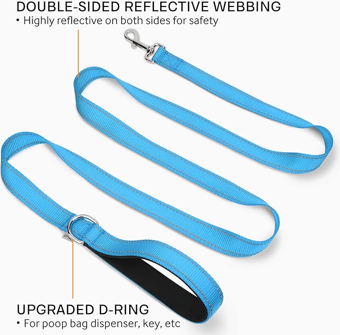 Joytale Double-Sided Reflective Dog Leash, 6 FT/5 FT/4 FT, Padded Handle Nylon Heavy Duty Leashes for Small & Medium Dogs Walking, Sky Blue, 6FT Joytale