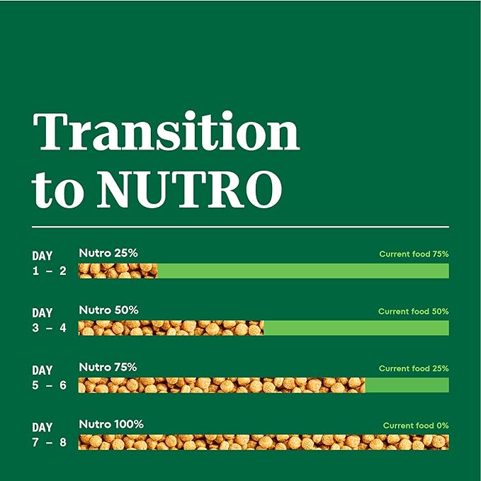 Nutro Natural Choice Small Bites Adult Dry Dog Food, Chicken and Brown Rice Recipe, 30 lbs. - PAWPICO